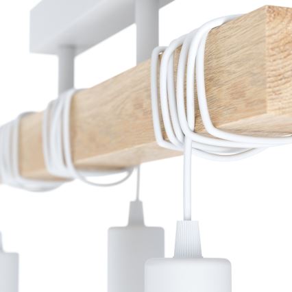 Eglo - Prigludusi liustra TOWNSHEND 3xE27/60W/230V