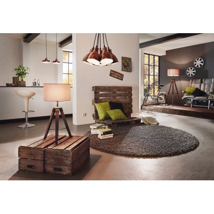 Eglo - Grindinis šviestuvas 1xE27/60W/230V