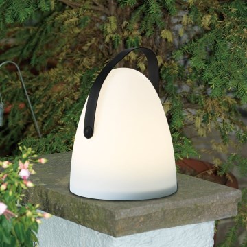 Eglo 48841 - LED stalinis lauko šviestuvas COLLIRADOS LED/3xAA IP44