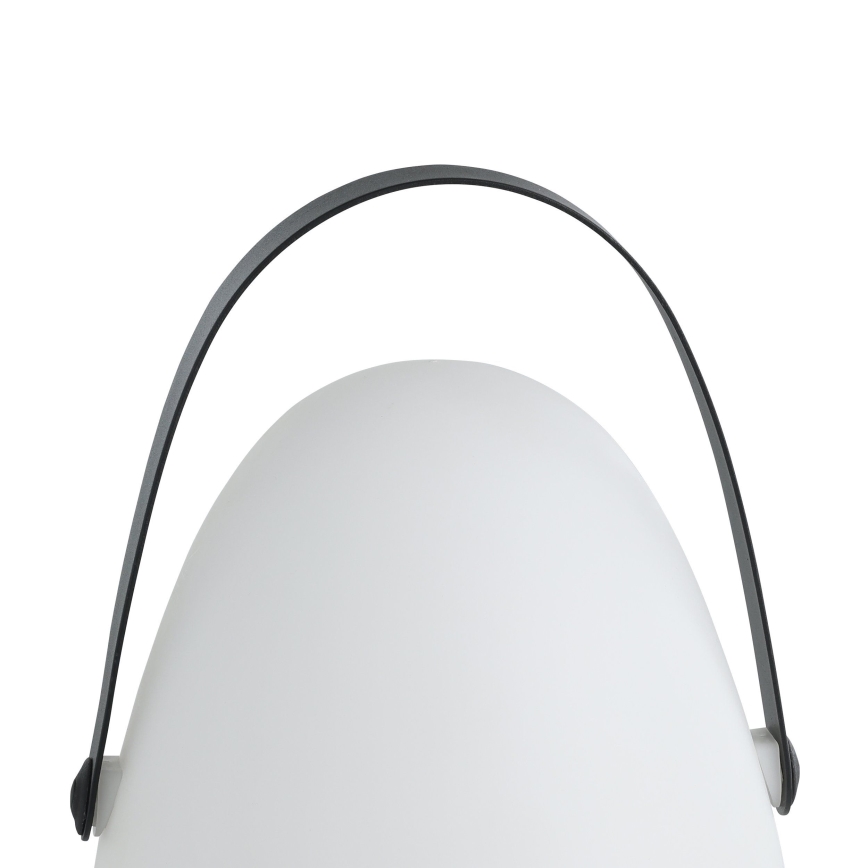 Eglo 48841 - LED stalinis lauko šviestuvas COLLIRADOS LED/3xAA IP44