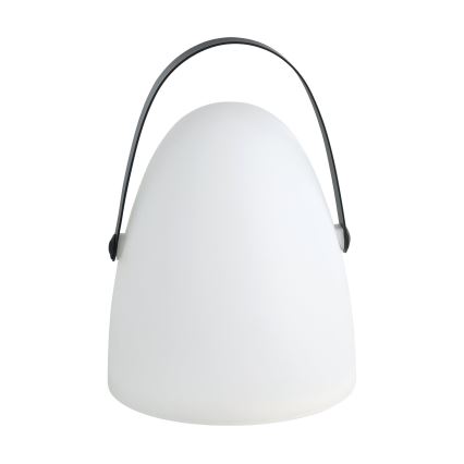 Eglo 48841 - LED stalinis lauko šviestuvas COLLIRADOS LED/3xAA IP44