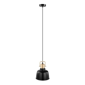 Eglo 49692 - pakabinamas šviestuvas ant laido BODMIN 1xE27/60W/230V