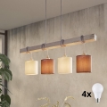 Eglo 55206 - LED liustra ant laido TOWNSHEND 4xE27/60W/230V
