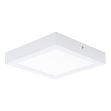 Eglo 64717 - LED lubinis šviestuvas FUEVA PRO LED/19W/230V 3000K 22,5x22,5 cm balta