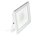Eglo 64863 - LED prožektorius FILETTI LED/30W/230V 4000K IP65 balta