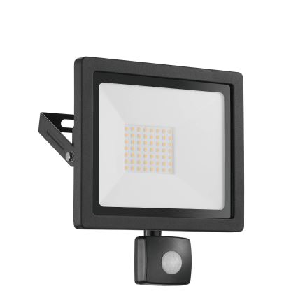 Eglo 64872 - LED prožektorius su jutikliu FILETTI LED/30W/230V 3000K IP44 juoda
