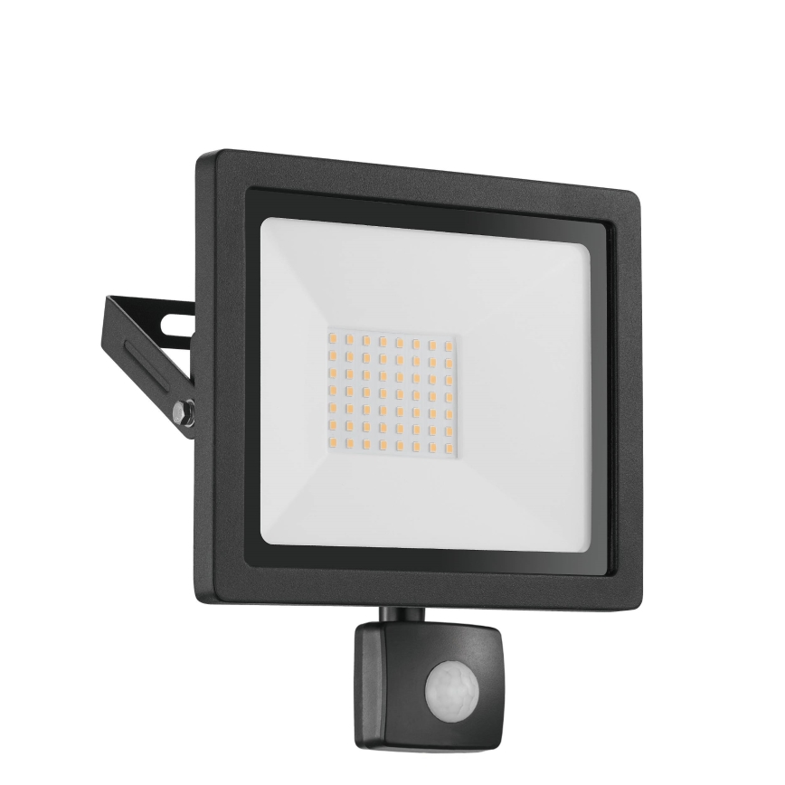 Eglo 64872 - LED prožektorius su jutikliu FILETTI LED/30W/230V 3000K IP44 juoda