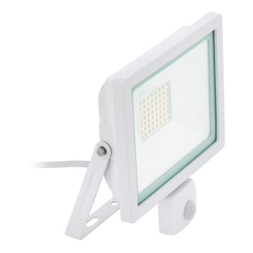 Eglo 64885 - LED prožektorius su jutikliu FILETTI LED/30W/230V 4000K IP44 balta