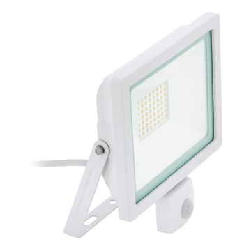 Eglo 64886 - LED prožektorius su jutikliu FILETTI LED/50W/230V 4000K IP44 balta