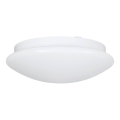 Eglo 68317 - Vonios kambario lubinis šviestuvas ELLA PROJEKT 1xE27/20W/230V IP44 skersmuo 30 cm