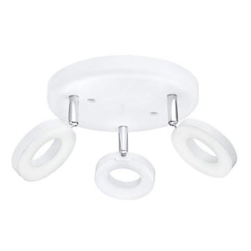 Eglo 75203 - LED akcentinis šviestuvas ODERZO 3xLED/3,8W/230V