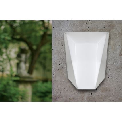 Eglo 75249 - Sieninis LED lauko šviestuvas CARRUBA 1xE27/7W/230V IP44