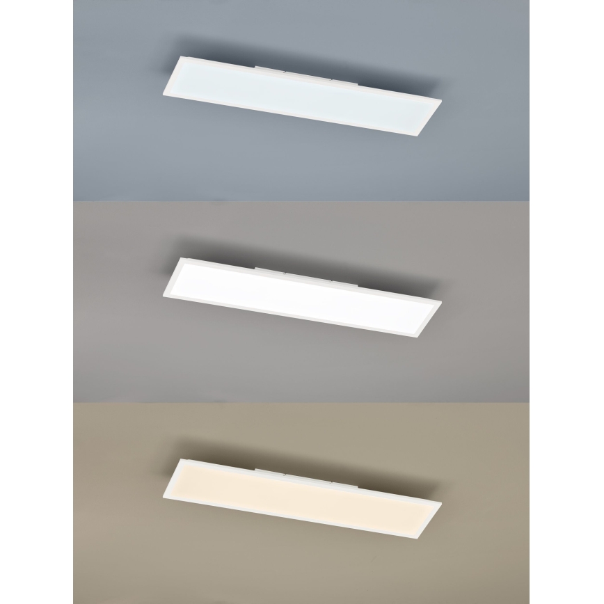 Eglo - LED Reguliuojamas skydelis LED/25W/230V 2700-5000K + valdymo pultas