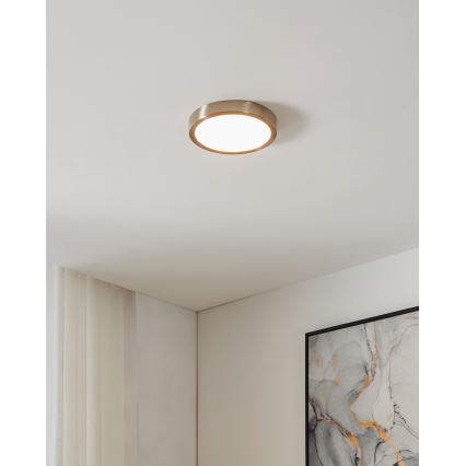 Eglo - LED Reguliuojamas vonios lubinis šviestuvas LED/16,5W/230V IP44 ZigBee