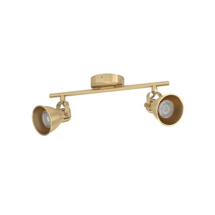 Eglo - LED Akcentinis šviestuvas 2xGU10/3W/230V