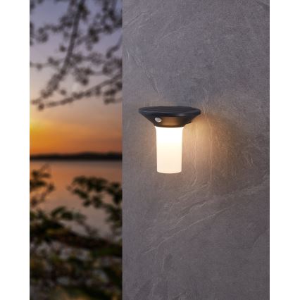 Eglo - LED lauko saulės šviestuvas su jutikliu 6xLED/0,03W/3,7V IP44