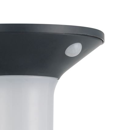 Eglo - LED lauko saulės šviestuvas su jutikliu 6xLED/0,03W/3,7V IP44