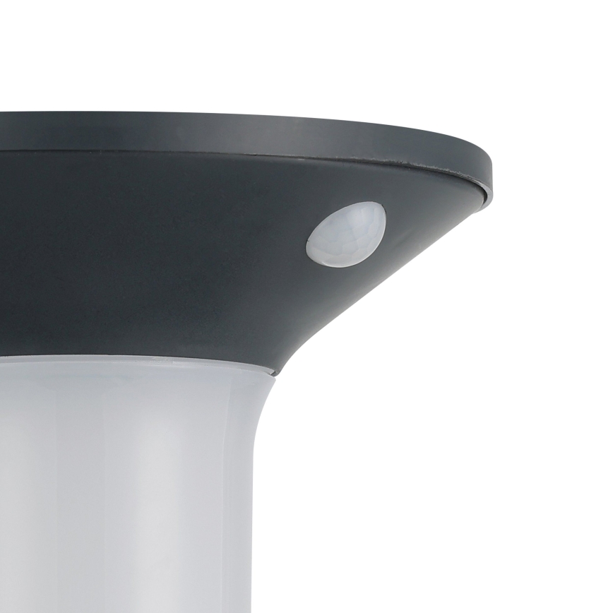 Eglo - LED lauko saulės šviestuvas su jutikliu 6xLED/0,03W/3,7V IP44