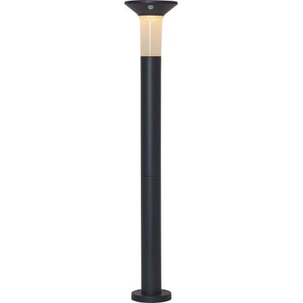 Eglo - LED Lauko saulės energijos lempa su jutikliu 6xLED/0,03W/3,7V 1500 mAh IP44
