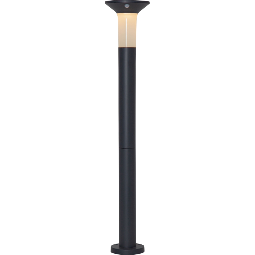 Eglo - LED Lauko saulės energijos lempa su jutikliu 6xLED/0,03W/3,7V 1500 mAh IP44