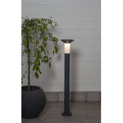 Eglo - LED Lauko saulės energijos lempa su jutikliu 6xLED/0,03W/3,7V 1500 mAh IP44