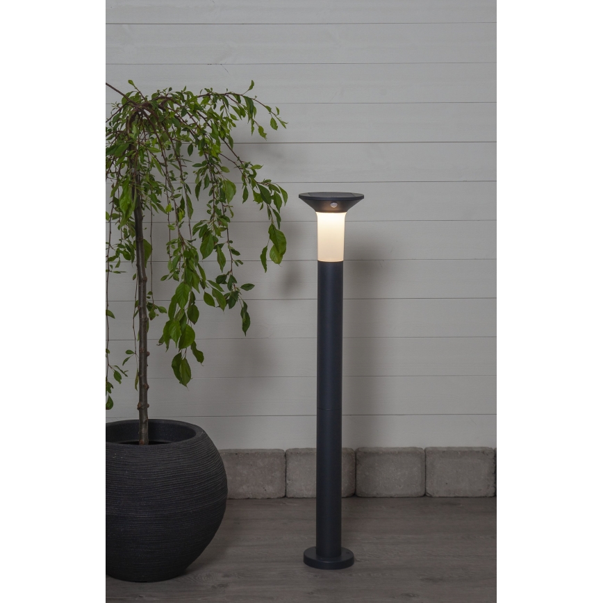 Eglo - LED Lauko saulės energijos lempa su jutikliu 6xLED/0,03W/3,7V 1500 mAh IP44