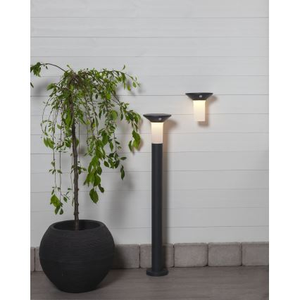Eglo - LED Lauko saulės energijos lempa su jutikliu 6xLED/0,03W/3,7V 1500 mAh IP44