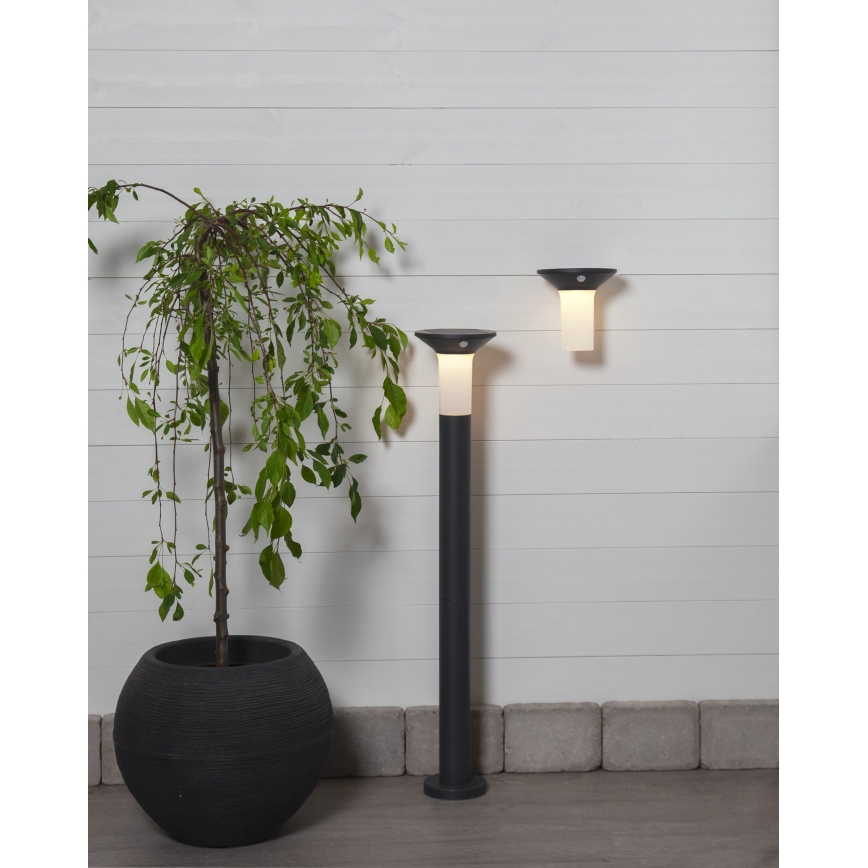 Eglo - LED Lauko saulės energijos lempa su jutikliu 6xLED/0,03W/3,7V 1500 mAh IP44