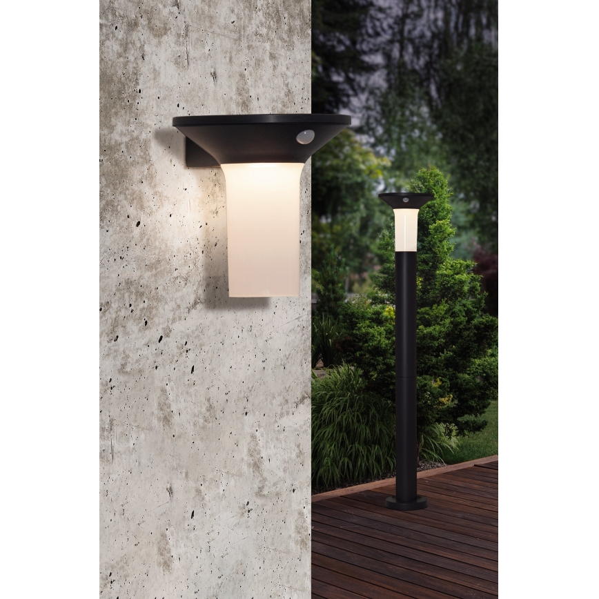 Eglo - LED Lauko saulės energijos lempa su jutikliu 6xLED/0,03W/3,7V 1500 mAh IP44