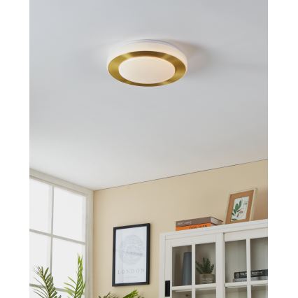 Eglo - LED Lubinis vonios šviestuvas LED/10,8W/230V IP44