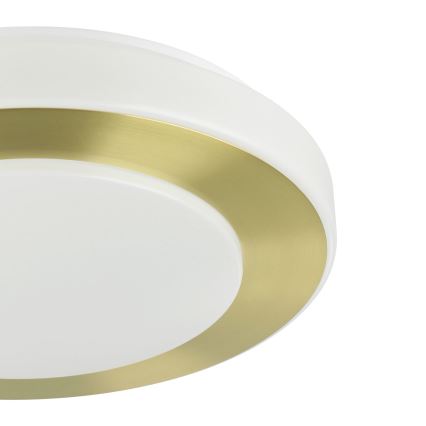 Eglo - LED Lubinis vonios šviestuvas LED/10,8W/230V IP44