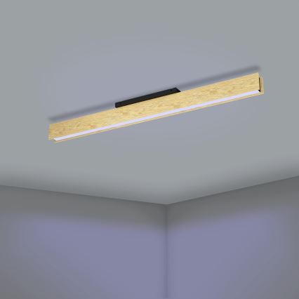 Eglo - LED RGBW Reguliuojamas lubinis šviestuvas LED/35W/230V 2700-6500K