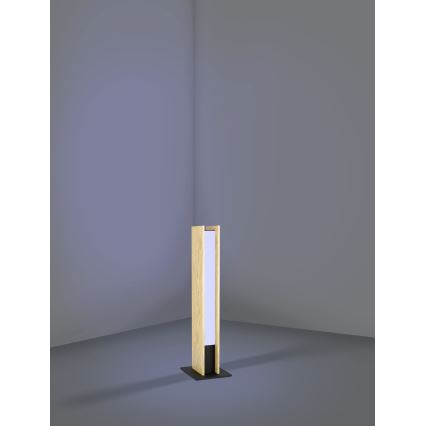 Eglo - LED RGBW Pritemdomas stalinis šviestuvas LED/16W/230V 2700-6500K