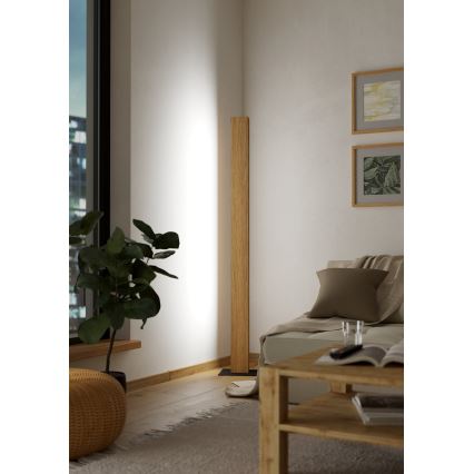 Eglo - LED RGBW Pritemdomas toršeras LED/35W/230V 2700-6500K