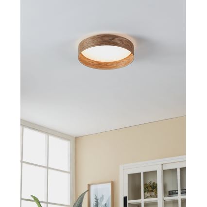 Eglo - LED Lubinis šviestuvas LED/24W/230V