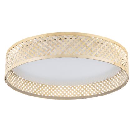 Eglo - LED Lubinis šviestuvas LED/24W/230V