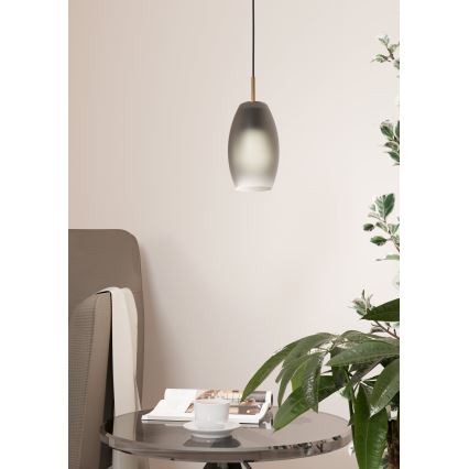 Eglo - Pakabinamas sietynas 1xE27/40W/230V