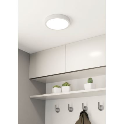 Eglo - LED lubinis vonios šviestuvas LED/17W/230V balta IP44