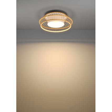 Eglo - LED RGBW Reguliuojamas lubinis šviestuvas LED/22W/230V 2700-6500K