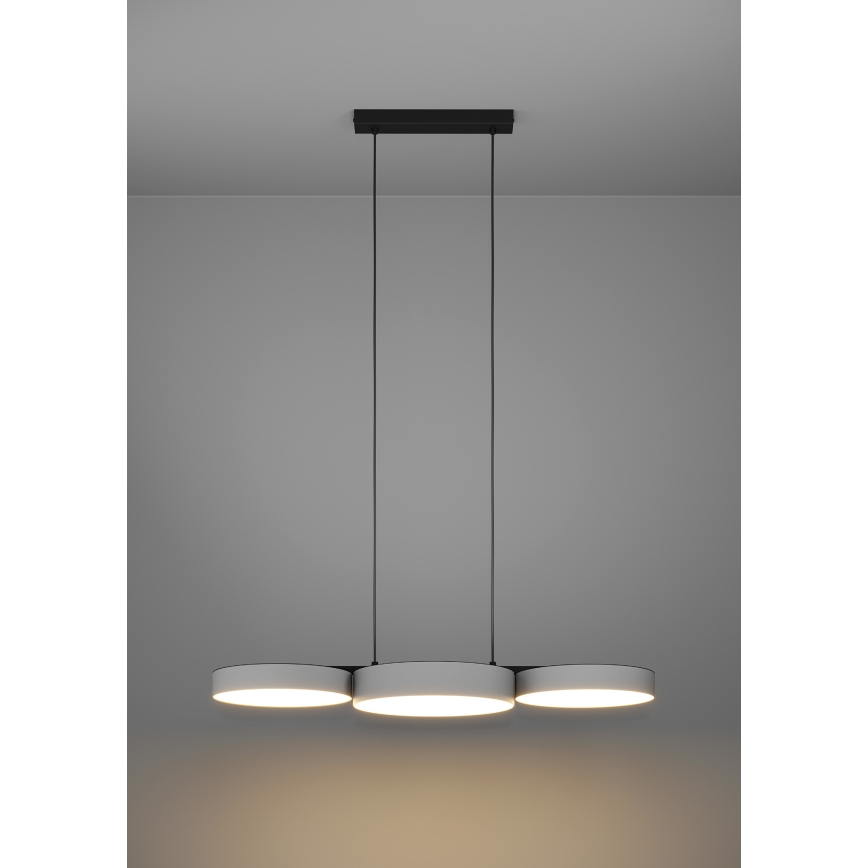 Eglo - LED RGBW Reguliuojamas pakabinamas sietynas 3xLED/7,5W/230V 2700-6500K pilka