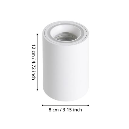 Eglo - LED RGBW Pritemdomi akcentiniai šviestuvai LED/4,9W/230V 2700-6500K balta