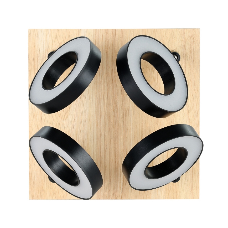 Eglo - LED taškinis šviestuvas 4xLED/4,2W/230V juoda/ruda