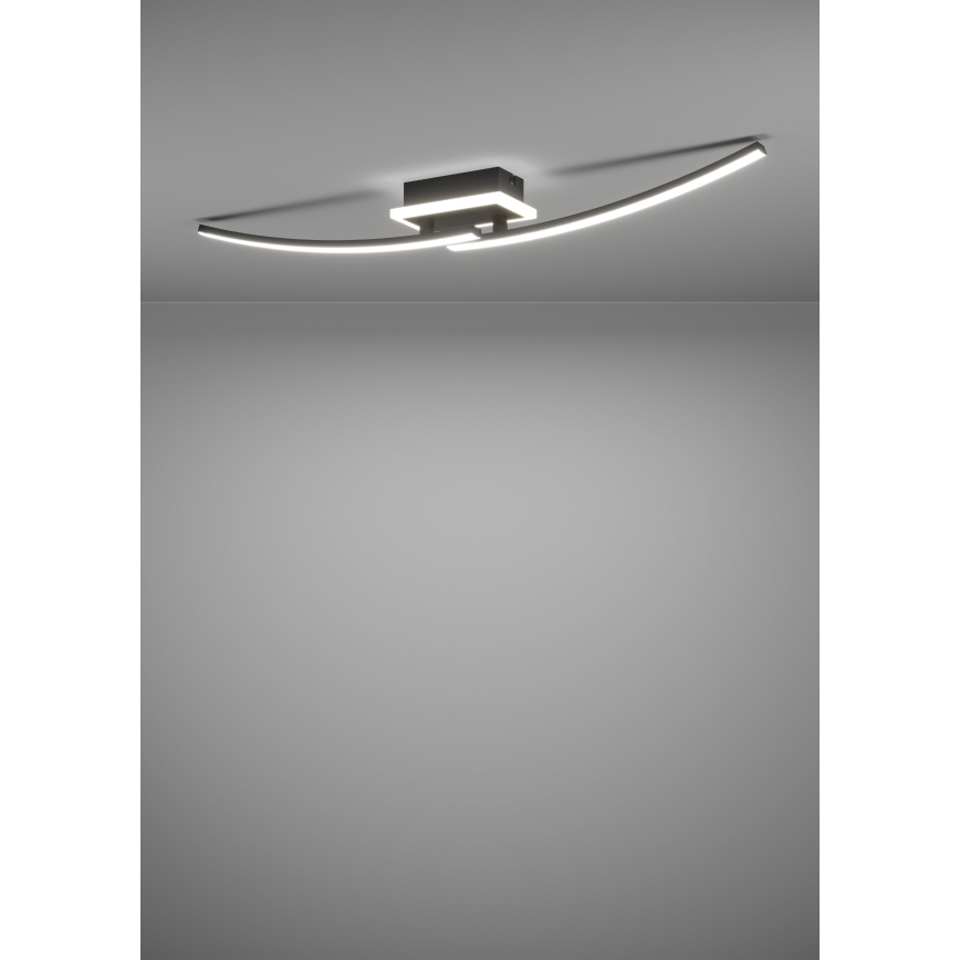 Eglo - LED lubinis šviestuvas LED/12W/230V 4000K juoda