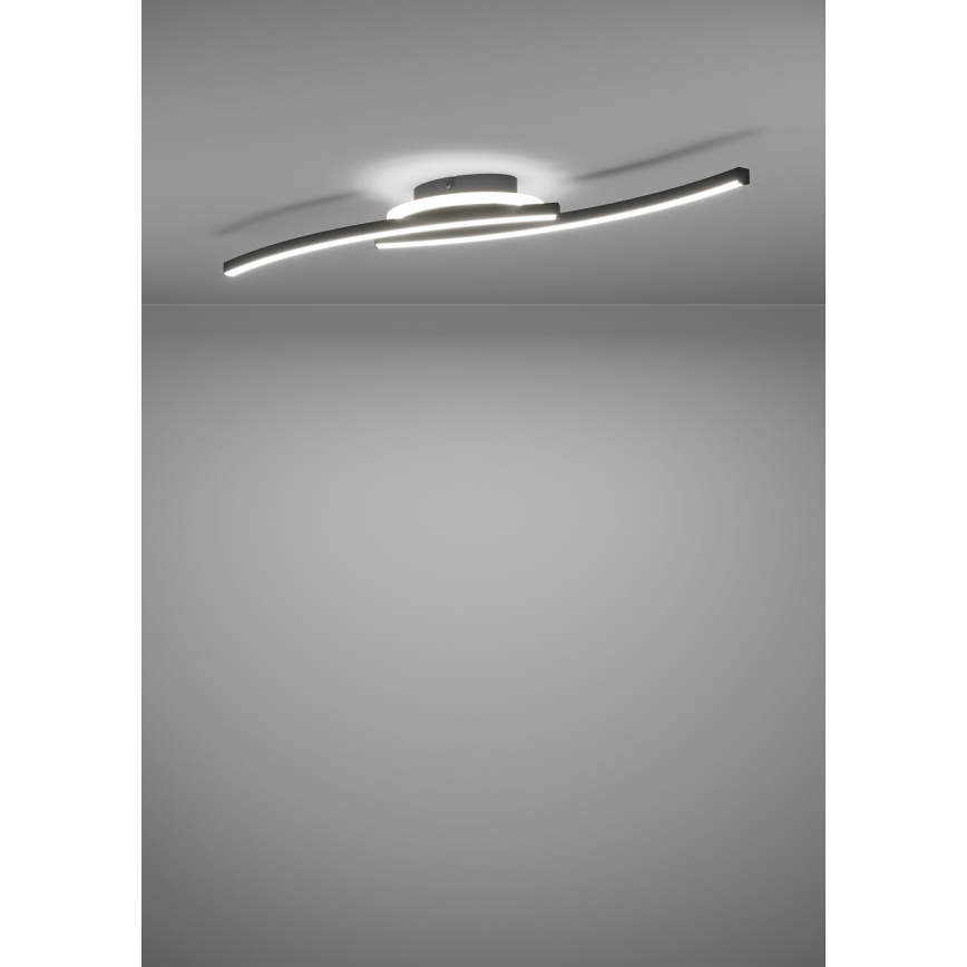 Eglo - LED lubinis šviestuvas LED/12W/230V 4000K juoda