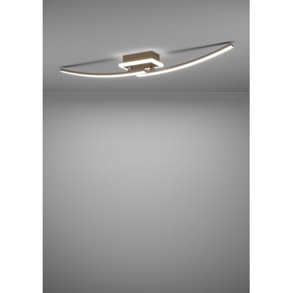 Eglo - LED lubinis šviestuvas LED/12W/230V 4000K varis