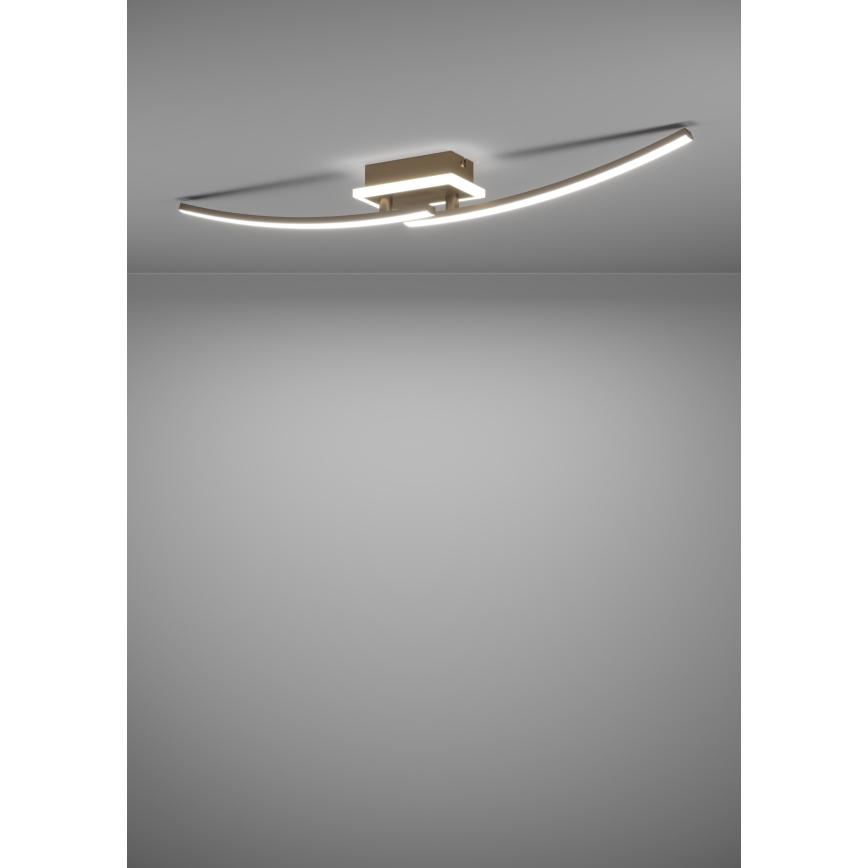Eglo - LED lubinis šviestuvas LED/12W/230V 4000K varis