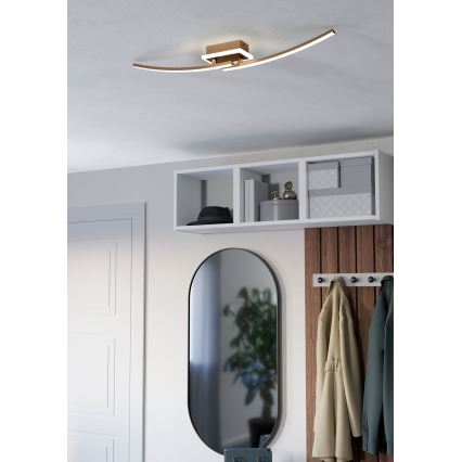 Eglo - LED lubinis šviestuvas LED/12W/230V 4000K varis