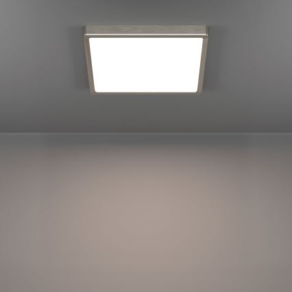 Eglo - LED lubinis šviestuvas LED/13W/230V 2700/4000/6500K 29x29 cm matinis chromas