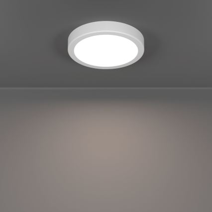 Eglo - vonios kambario lubinis LED šviestuvas LED/7,5W/230V 2700/4000/6500K skersmuo 16,6 cm IP44 balta