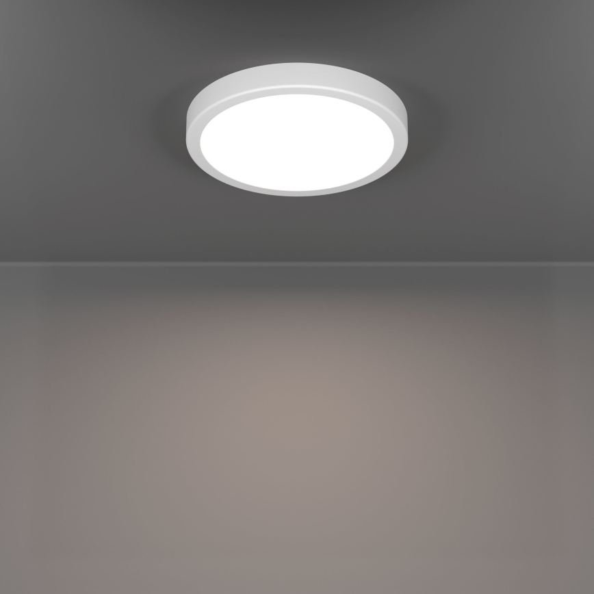 Eglo - LED vonios lubinis šviestuvas LED/11,5W/230V 2700/4000/6500K skersm. 21,1 cm IP44 baltas